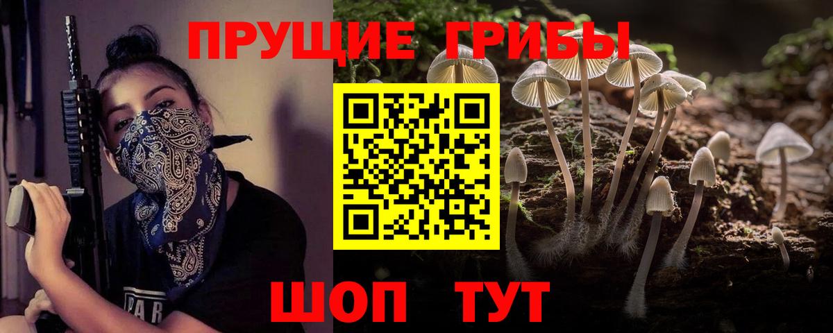 Галлюциногенные грибы мухоморы Каспийск