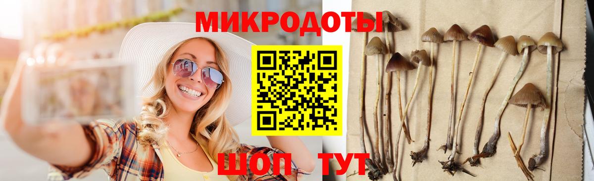 Каспийск  Галлюциногенные грибы Cubensis  Вход с VPN 