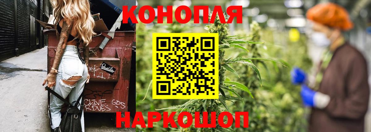 Марихуана сатива  Конопля Bruce Banner  Вход с VPN  Каспийск 